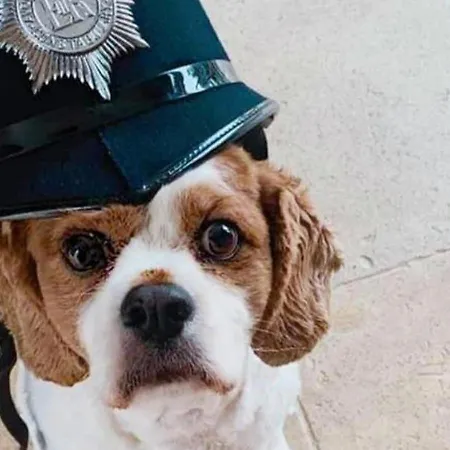 2 Bed House With Hot Tub - House 度假居